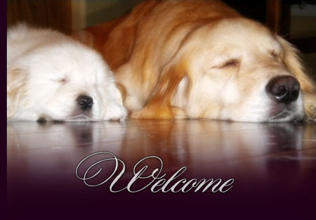 Home - Welcome to our website and enjoy your visit !